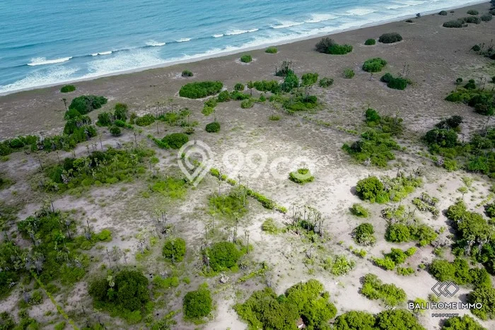 Dijual Tanah di Sumbawa Sumbawa Luas 20000m2 SHM Dijual Tanah di Sumbawa Sumbawa Luas 20000m2 SHM