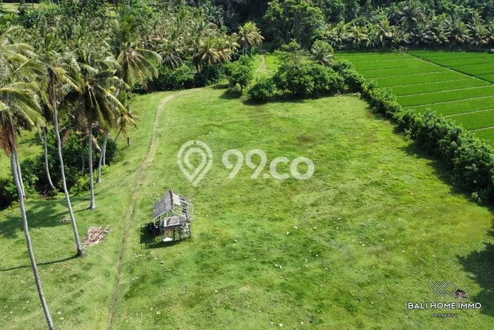 Tanah Dijual di Tabanan Seluas 24500m2 Strategis Tanah Dijual di Tabanan Seluas 24500m2 Strategis