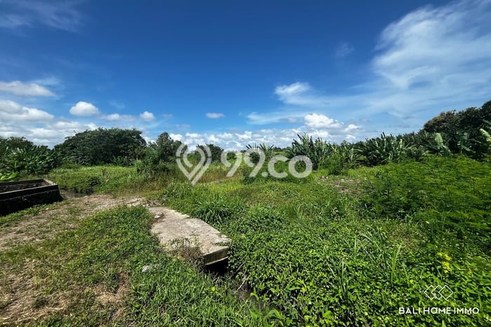 Dijual Tanah 1660m2 di Tanah Lot, Tabanan Dijual Tanah 1660m2 di Tanah Lot, Tabanan