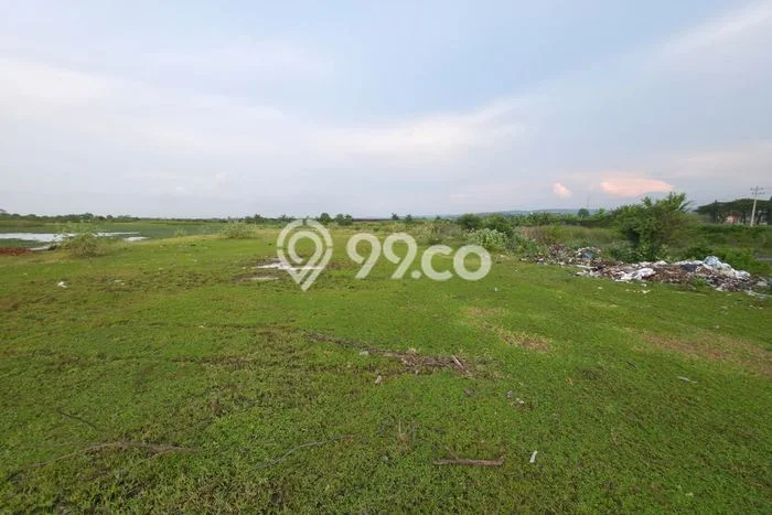 Kavling Tanah di Kaliwungu Dijual Luas 100000m2 Legalitas SHM Kavling Tanah di Kaliwungu Dijual Luas 100000m2 Legalitas SHM
