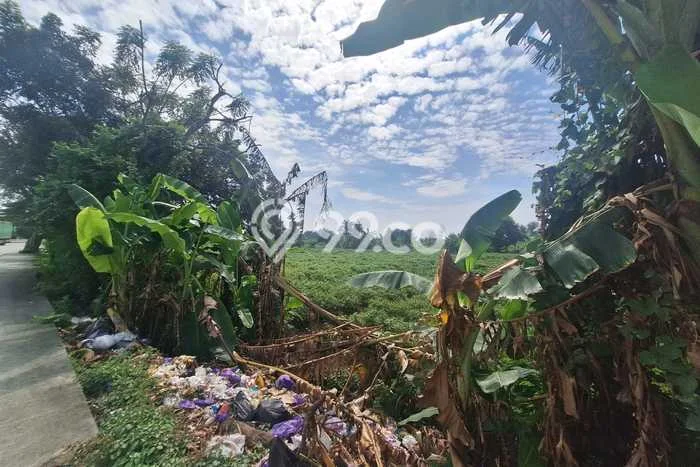 Kavling Tanah di Warureja Dijual Luas 80000m2 Legalitas SHM Kavling Tanah di Warureja Dijual Luas 80000m2 Legalitas SHM