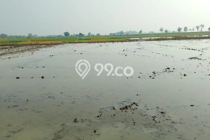 Tanah Komersial Dijual di Ligung Majalengka 3170m2 Tanah Komersial Dijual di Ligung Majalengka 3170m2