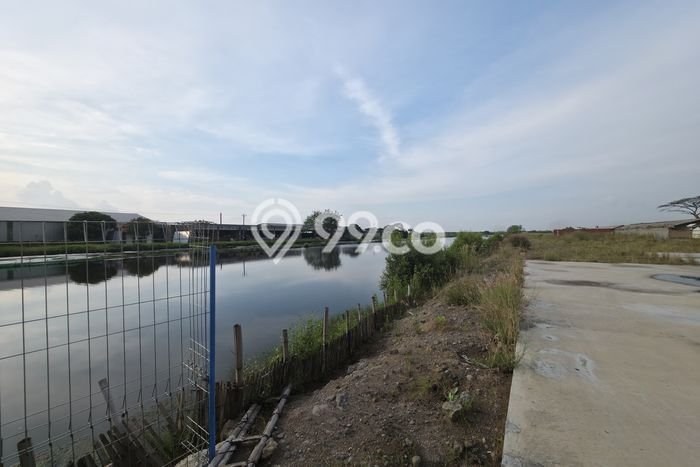 Kavling Tanah di Kaliwungu Dijual Luas 80000m2 Legalitas - Kavling Tanah di Kaliwungu Dijual Luas 80000m2 Legalitas -