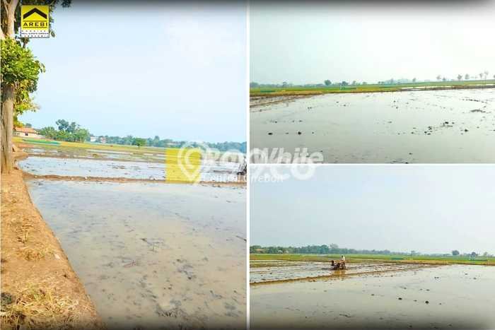 Tanah Komersial Dijual di Ligung Majalengka 3170m2 Tanah Komersial Dijual di Ligung Majalengka 3170m2