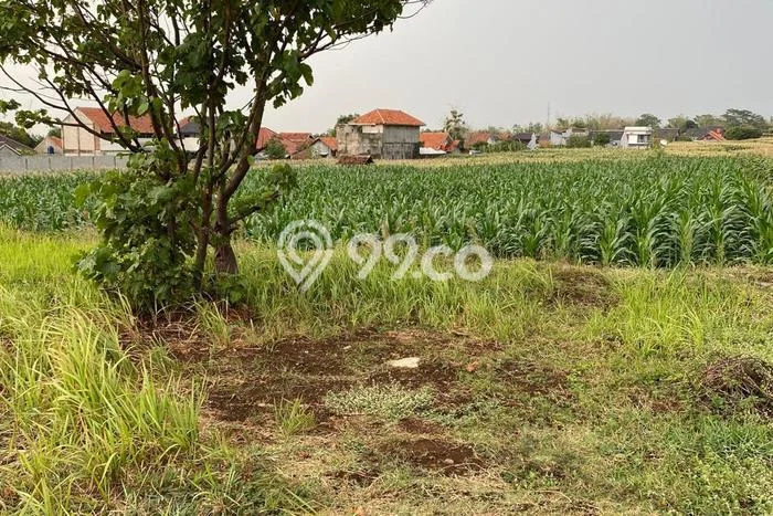 Tanah Dijual di Majalengka Seluas 199m2 Strategis Tanah Dijual di Majalengka Seluas 199m2 Strategis