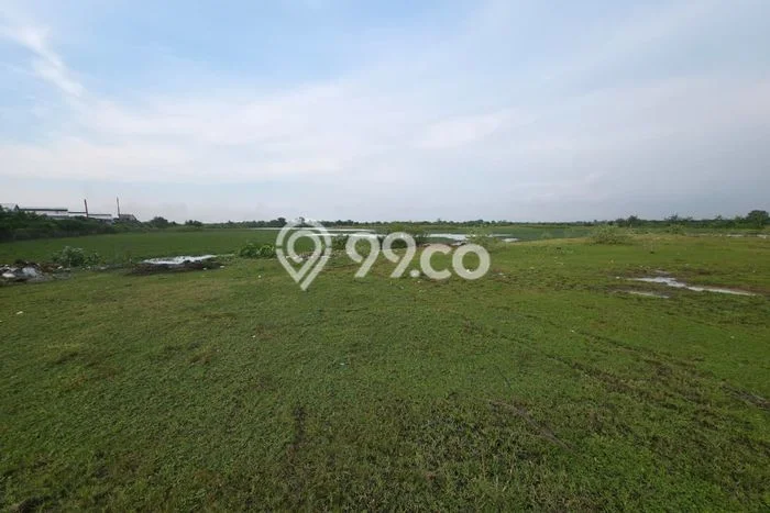 Kavling Tanah di Kaliwungu Dijual Luas 100000m2 Legalitas SHM Kavling Tanah di Kaliwungu Dijual Luas 100000m2 Legalitas SHM