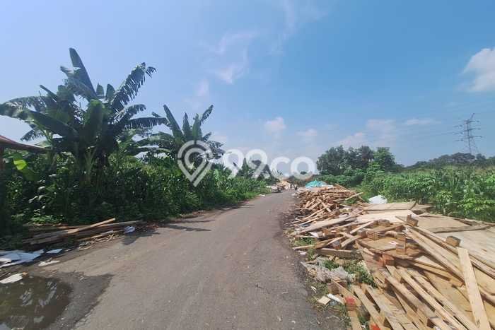 Lahan Dijual Lokasi Kaliwungu, Kendal dengan Luas Tanah 65000m2 dan Status SHM Lahan Dijual Lokasi Kaliwungu, Kendal dengan Luas Tanah 65000m2 dan Status SHM