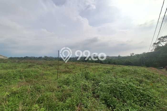 Lahan Strategis di Tulis Dijual dengan Luas 100000m2 Lahan Strategis di Tulis Dijual dengan Luas 100000m2