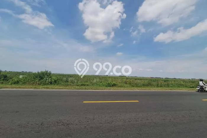 Tanah Kavling untuk Dijual di Brebes Brebes 10000m2 Tanah Kavling untuk Dijual di Brebes Brebes 10000m2