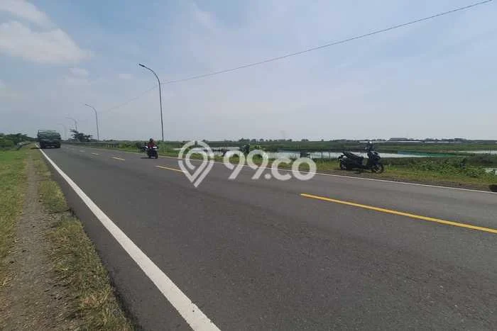 Tanah Kavling untuk Dijual di Brebes Brebes 10000m2 Tanah Kavling untuk Dijual di Brebes Brebes 10000m2