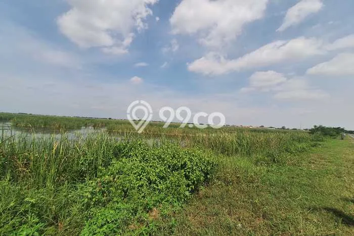 Tanah Kavling untuk Dijual di Brebes Brebes 10000m2 Tanah Kavling untuk Dijual di Brebes Brebes 10000m2