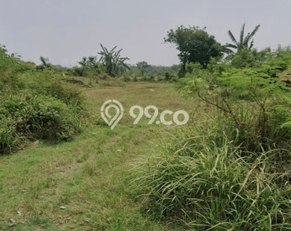 Tanah Dijual Lokasi Jatiwangi, Majalengka dengan Luas Tanah 100000m2 dan Status - Tanah Dijual Lokasi Jatiwangi, Majalengka dengan Luas Tanah 100000m2 dan Status -