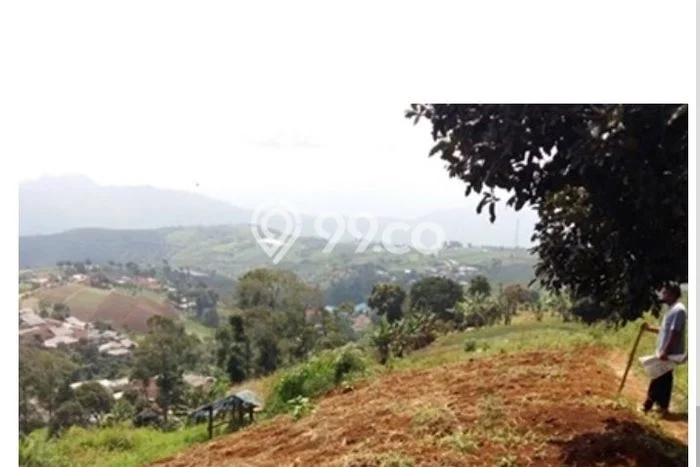 Kavling Tanah di Cipanas Dijual Luas 41075m2 Legalitas SHM Kavling Tanah di Cipanas Dijual Luas 41075m2 Legalitas SHM