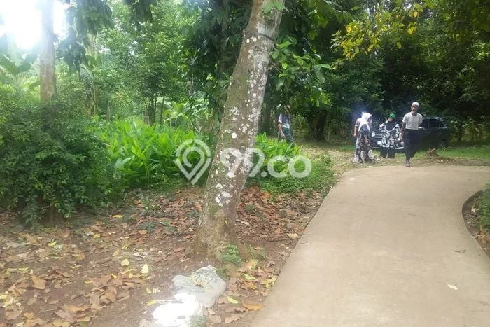 Tanah Kavling untuk Dijual di Cileungsi Bogor 400m2 Tanah Kavling untuk Dijual di Cileungsi Bogor 400m2