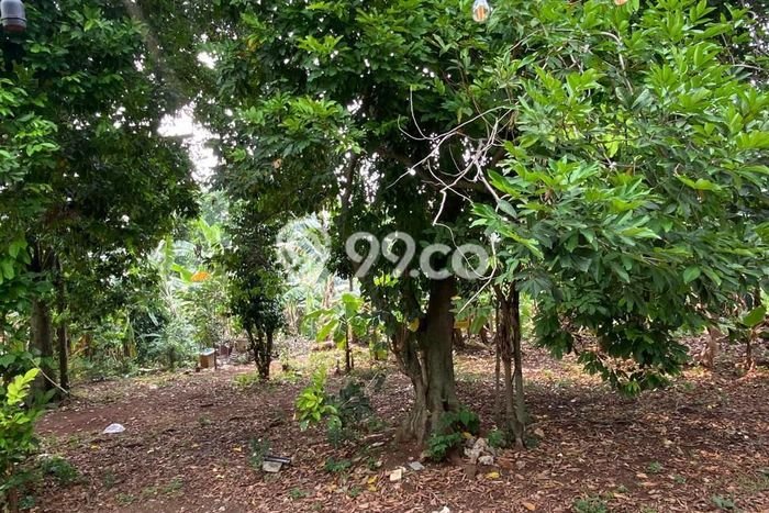 Lahan Strategis di Beji Dijual dengan Luas 2059m2 Lahan Strategis di Beji Dijual dengan Luas 2059m2