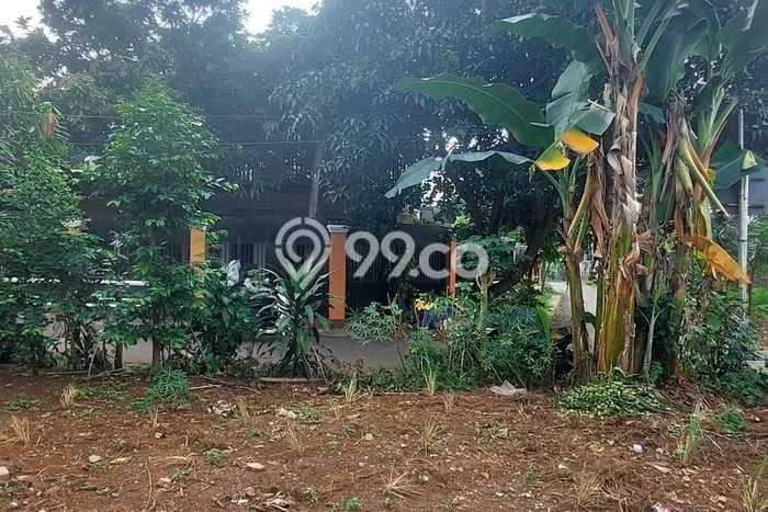 Tanah Siap Bangun Dijual di Depok Punya Luas 300m2 Tanah Siap Bangun Dijual di Depok Punya Luas 300m2