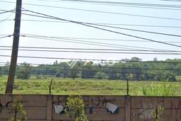 Lahan Dijual Lokasi Subang, Subang dengan Luas Tanah 3e+06m2 dan Status SHM Lahan Dijual Lokasi Subang, Subang dengan Luas Tanah 3e+06m2 dan Status SHM