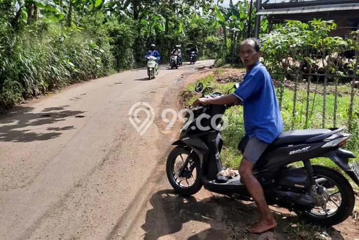 Kavling Tanah Disewakan di Kemang Bogor Luas 2500m2 Strategis Kavling Tanah Disewakan di Kemang Bogor Luas 2500m2 Strategis