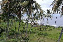 Lahan Investasi Lokasi Gangga Lombok Utara SHM Lahan Investasi Lokasi Gangga Lombok Utara SHM