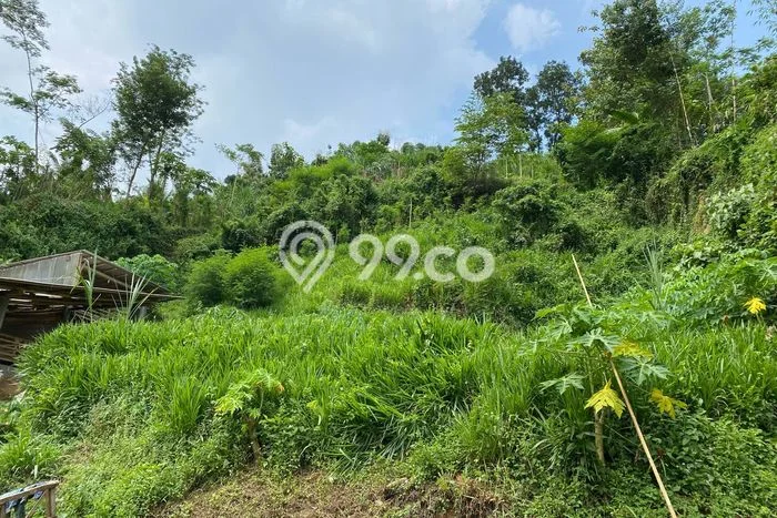 Tanah Kavling di Dampit Dijual dengan Luas 3990m2 Tanah Kavling di Dampit Dijual dengan Luas 3990m2