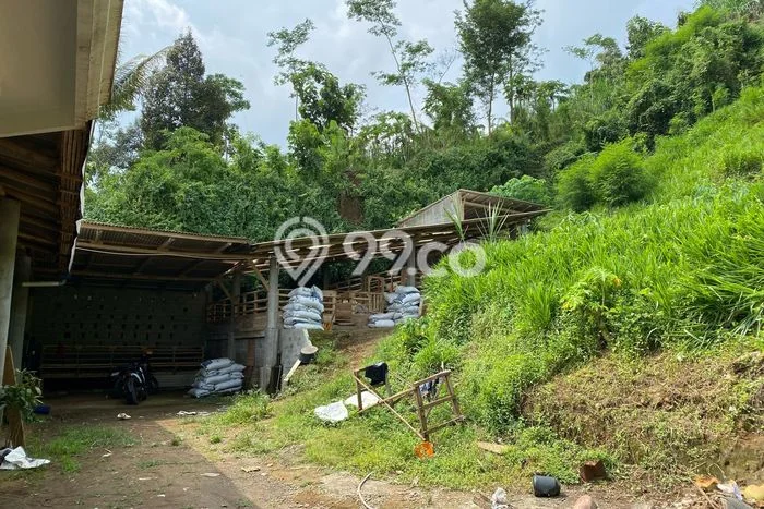 Tanah Kavling di Dampit Dijual dengan Luas 3990m2 Tanah Kavling di Dampit Dijual dengan Luas 3990m2
