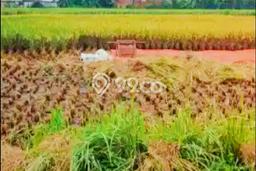 Tanah Komersial Dijual di Blimbing Malang 778m2 Tanah Komersial Dijual di Blimbing Malang 778m2