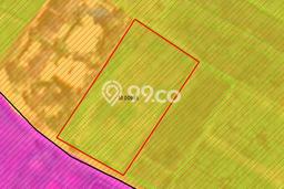 Kavling Tanah untuk Dijual di Kedungu, Tabanan, Luas 1668m2 Kavling Tanah untuk Dijual di Kedungu, Tabanan, Luas 1668m2