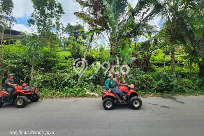 Tanah Dijual Lokasi Payangan, Gianyar Luas 8900m2 Legalitas Aman Tanah Dijual Lokasi Payangan, Gianyar Luas 8900m2 Legalitas Aman