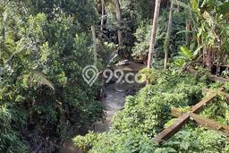 Tanah Dijual Lokasi Strategis di Gianyar dengan Luas 8443m2 Tanah Dijual Lokasi Strategis di Gianyar dengan Luas 8443m2
