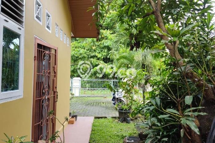 Jual Rumah Strategis Bagus Punya 2 KT di Tenayan Raya Pekanbaru SHM Jual Rumah Strategis Bagus Punya 2 KT di Tenayan Raya Pekanbaru SHM