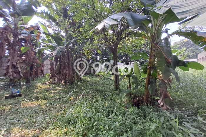Dijual Tanah 467m2 di Pangkalan Jati, Depok Dijual Tanah 467m2 di Pangkalan Jati, Depok