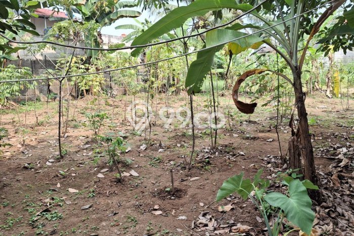 Lahan untuk Dijual Lokasi Ciomas, Bogor Luas 123m2 - Lahan untuk Dijual Lokasi Ciomas, Bogor Luas 123m2 -