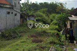 Tanah Kavling di Wringinanom Dijual dengan Luas 2300m2 Tanah Kavling di Wringinanom Dijual dengan Luas 2300m2