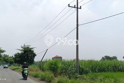 Kavling Tanah di Menganti Dijual Luas 8669m2 Legalitas SHM Kavling Tanah di Menganti Dijual Luas 8669m2 Legalitas SHM