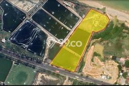 Tanah Dijual Lokasi Bancar, Tuban Luas 8303m2 Legalitas Aman Tanah Dijual Lokasi Bancar, Tuban Luas 8303m2 Legalitas Aman