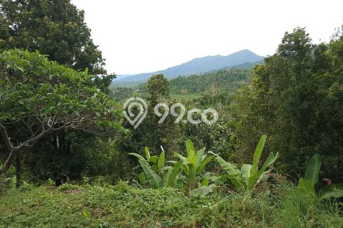 Tanah Komersial Dijual di Sukasada Buleleng 1670m2 Tanah Komersial Dijual di Sukasada Buleleng 1670m2