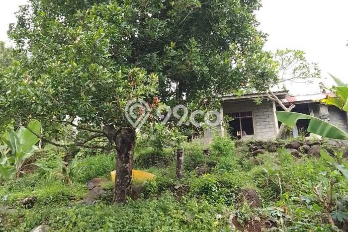 Tanah Komersial Dijual di Sukasada Buleleng 1670m2 Tanah Komersial Dijual di Sukasada Buleleng 1670m2