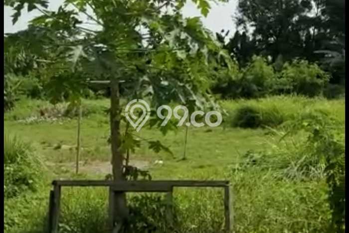 Tanah Dijual Lokasi Telukjambe Timur, Karawang Luas 18169m2 Legalitas Aman Tanah Dijual Lokasi Telukjambe Timur, Karawang Luas 18169m2 Legalitas Aman