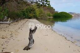 Tanah Investasi Dijual di Manggarai Barat Punya Luas 44000m2 Tanah Investasi Dijual di Manggarai Barat Punya Luas 44000m2