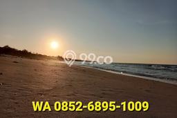 Lahan untuk Dijual Lokasi Mamboro, Sumba Tengah Luas 300000m2 SHM Lahan untuk Dijual Lokasi Mamboro, Sumba Tengah Luas 300000m2 SHM