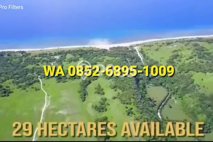 Lahan untuk Dijual Lokasi Mamboro, Sumba Tengah Luas 300000m2 SHM Lahan untuk Dijual Lokasi Mamboro, Sumba Tengah Luas 300000m2 SHM