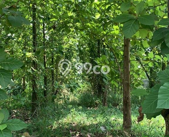 Tanah untuk Dijual Lokasi Cibinong, Bogor Luas 800m2 - Tanah untuk Dijual Lokasi Cibinong, Bogor Luas 800m2 -