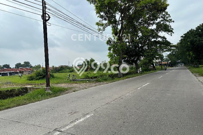 Tanah Dijual Lokasi Dukuhwaru, Tegal Luas 7043m2 Legalitas Aman Tanah Dijual Lokasi Dukuhwaru, Tegal Luas 7043m2 Legalitas Aman