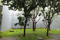 Kavling Tanah untuk Dijual di BSD Green Wich, Tangerang, Luas 84m2 Kavling Tanah untuk Dijual di BSD Green Wich, Tangerang, Luas 84m2