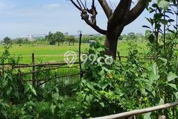 Untuk Dijual Tanah di Cikande Serang Luas 300000m2 SHM Untuk Dijual Tanah di Cikande Serang Luas 300000m2 SHM