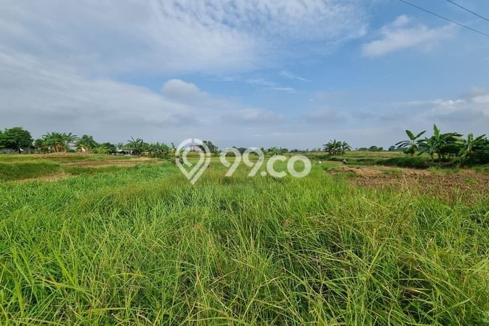 Lahan untuk Dijual Lokasi Cikande, Serang Luas 1.4e+06m2 SHM Lahan untuk Dijual Lokasi Cikande, Serang Luas 1.4e+06m2 SHM