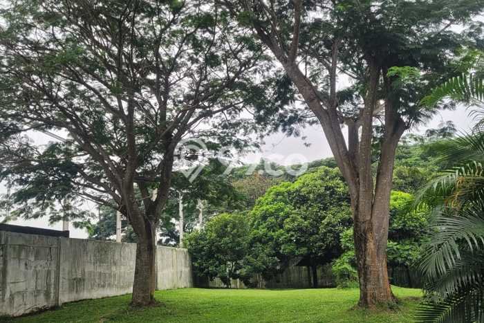 Kavling Tanah untuk Dijual di BSD Avani, Tangerang, Luas 521m2 Kavling Tanah untuk Dijual di BSD Avani, Tangerang, Luas 521m2