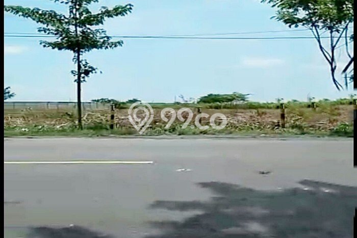 Tanah Kavling untuk Dijual di Widang Tuban 42000m2 Tanah Kavling untuk Dijual di Widang Tuban 42000m2