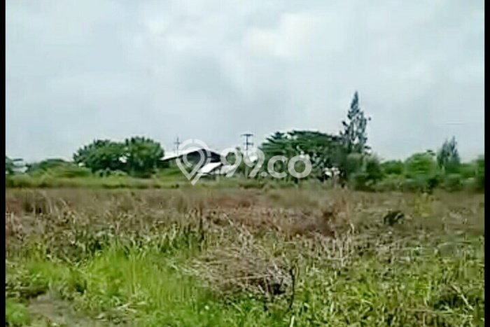 Tanah Kavling untuk Dijual di Widang Tuban 42000m2 Tanah Kavling untuk Dijual di Widang Tuban 42000m2