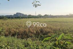 Lahan Investasi Lokasi Buduran Sidoarjo SHM Lahan Investasi Lokasi Buduran Sidoarjo SHM